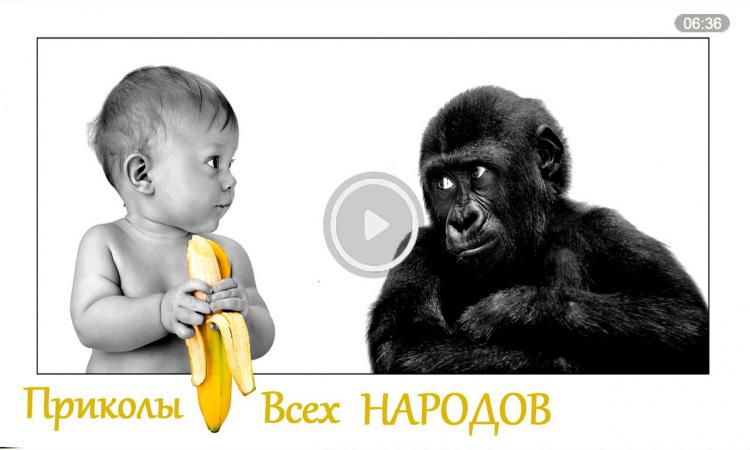 Приколы под озвучку и музычку! Приколы под озвучку и музычку!
