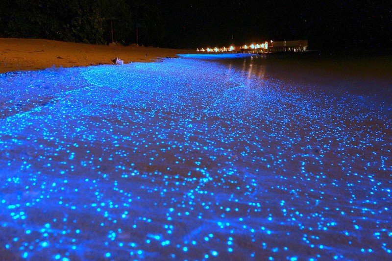 22. Светящийся планктон на пляже острова Ваадху (Мальдивы) интересное, мир, фото