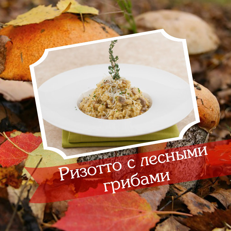 На тихую охоту: как собирать и готовить вкусные лесные грибы – блог интернет-магазина manikyrsha.ru