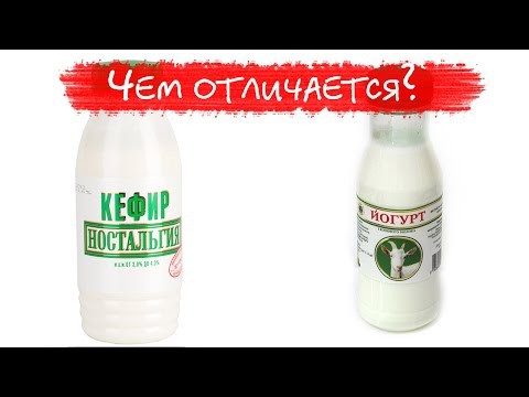 Чем отличается кефир от йогурта? В чем отличия этих кисломолочных прод Чем отличается кефир от йогурта? В чем отличия этих кисломолочных прод