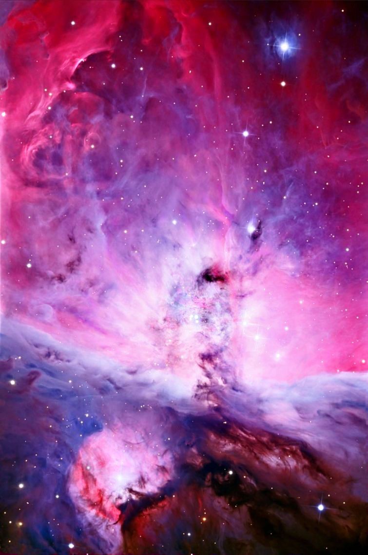 Туманность Ориона, снятая в самом высоком на сегодняшний день разрешении 25 удивительных фотографий, животные, мир, природа, путешествия