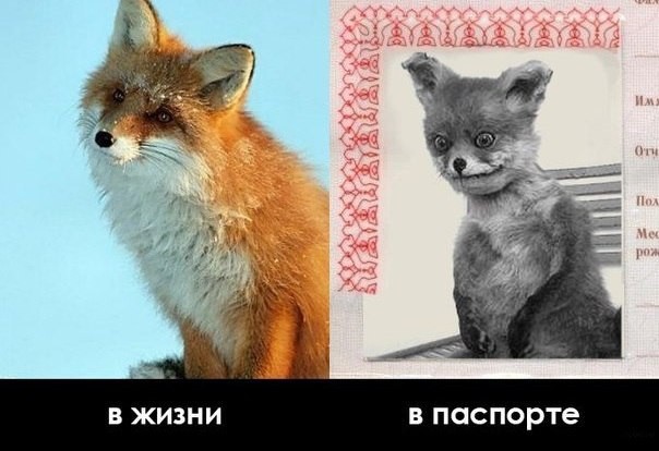 Красивые Картинки | ВКонтакте