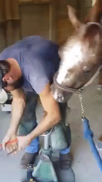 [Зображення: 1443506846_523170129.gif]