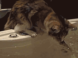 5805619f44c6dd90e41c142b3b99d94e.gif