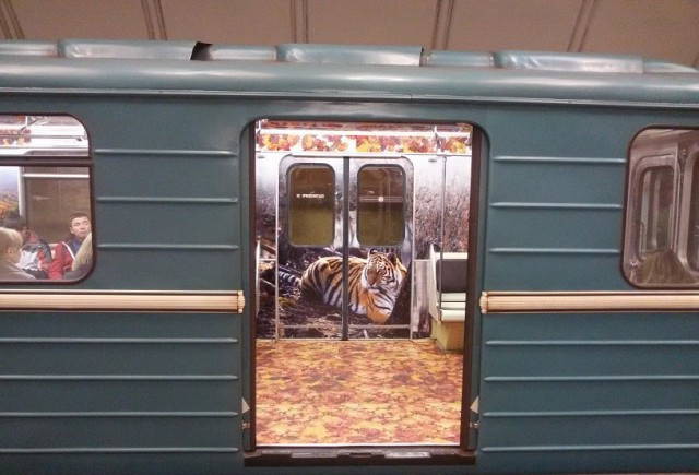Красота в Московском метро : дизайнерский интерьер вагонов дизайн, метро