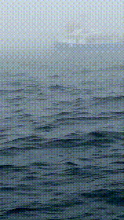 bc336bf1e27acc0a4680c2c3fc9f95d1.gif