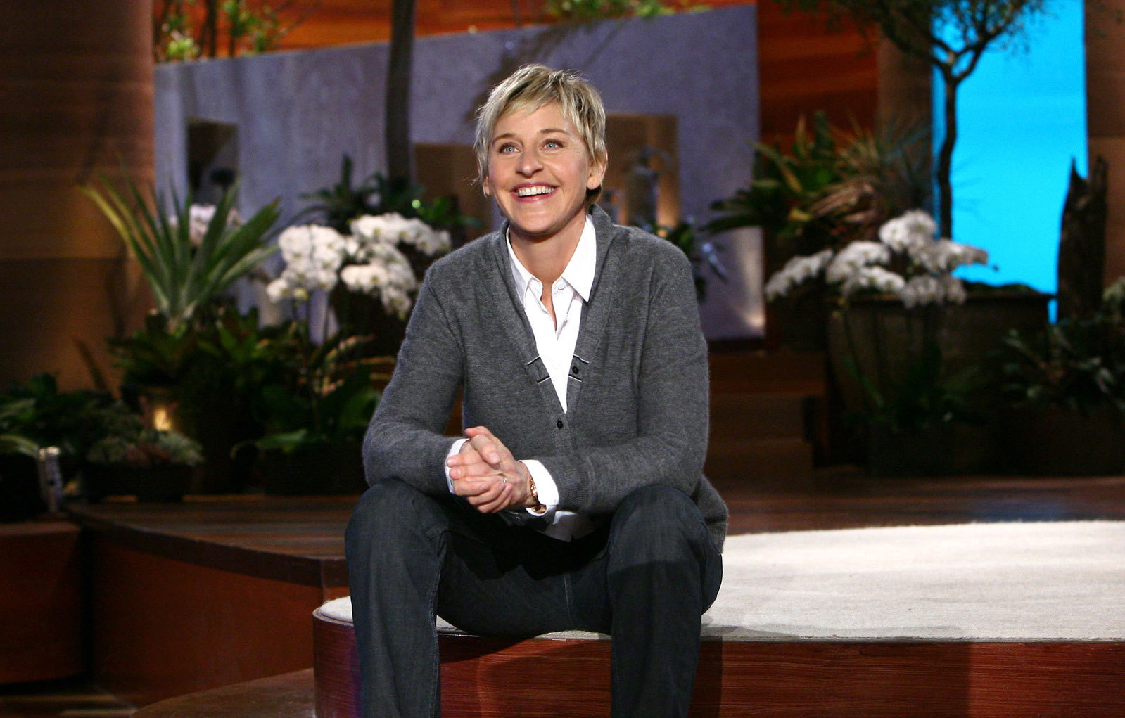 Ellen show vibrator