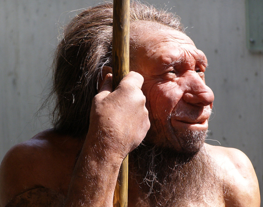 10. Мозг у неандертальца был больше, чем у нас. интересное, удивительные факты, факты