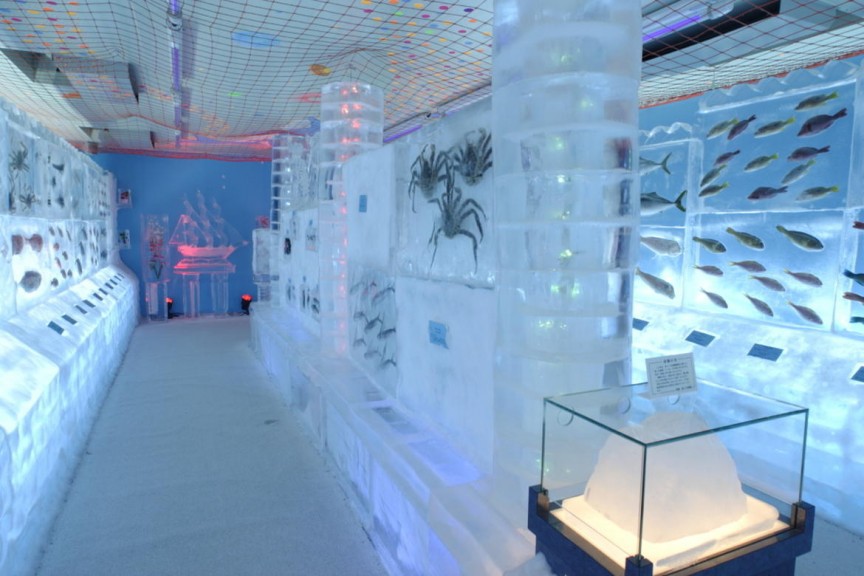 1. Кори но Суизокукан - ледяной аквариум  аквариумы, животные, мир, рыбы
