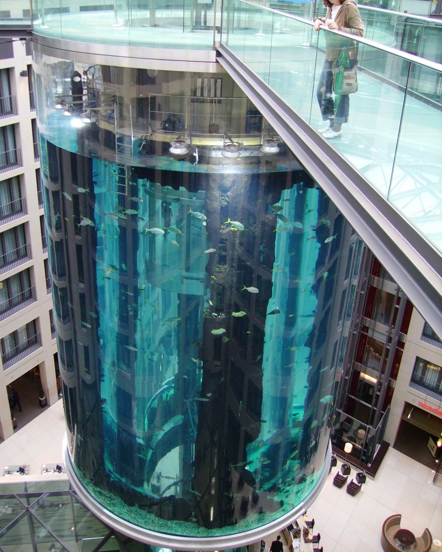 6. Aquadom Radisson Blu Hotel  аквариумы, животные, мир, рыбы