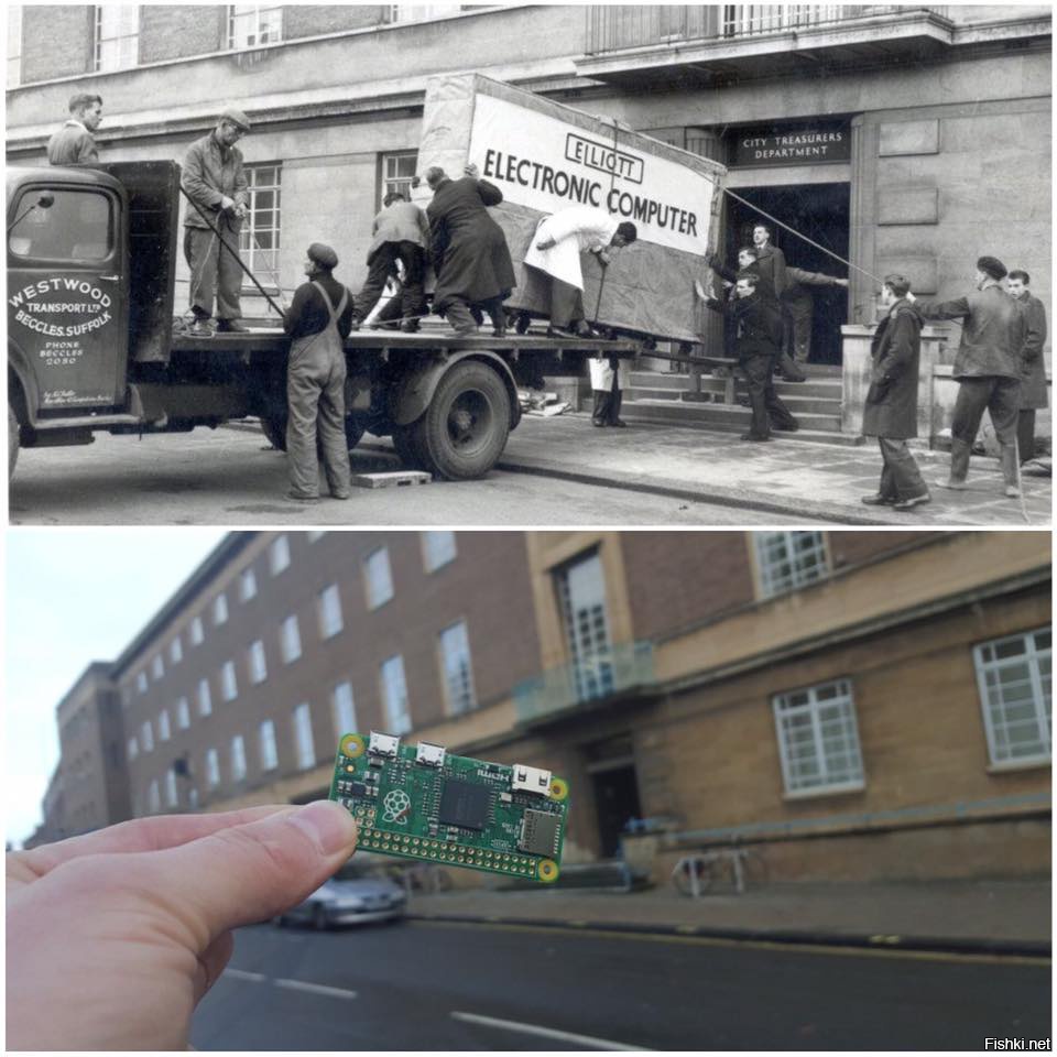 Water polo essay example 06 image