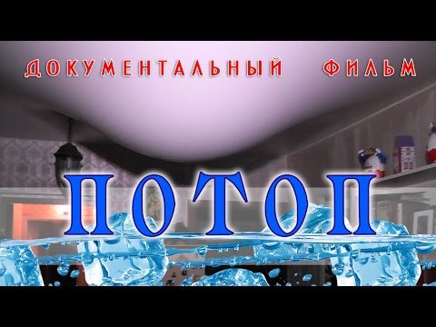 Потоп: что делать, если затопили соседи Потоп: что делать, если затопили соседи