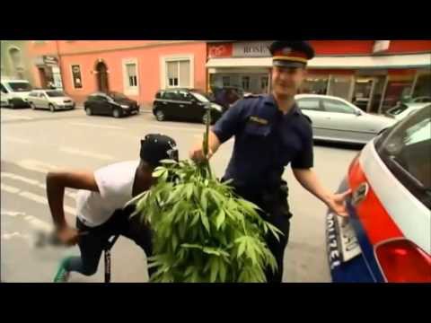 Это ганджа Это ганджа