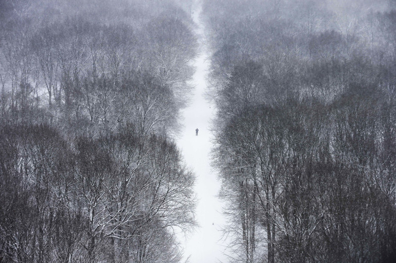 22. Одинокий человек в парке Тиргартен после сильного снегопада, Берлин. наш мир, удивительные фотографии