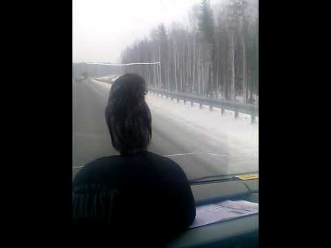 Совенок Совенок