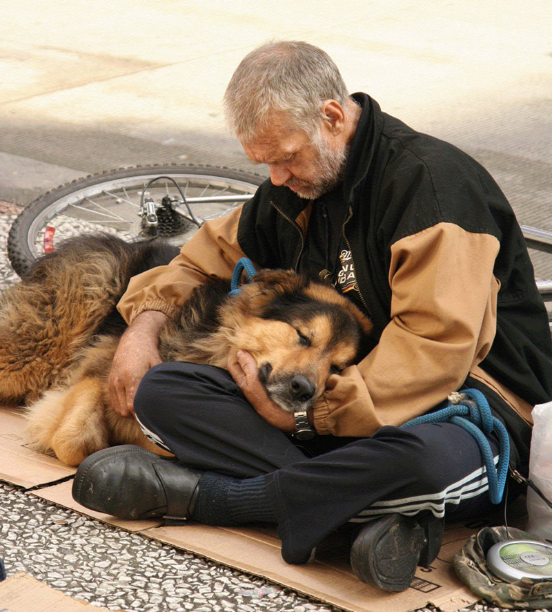 Доказательство того, что собаки любят вас независимо от того, сколько у вас денег верность, жизнь, собака