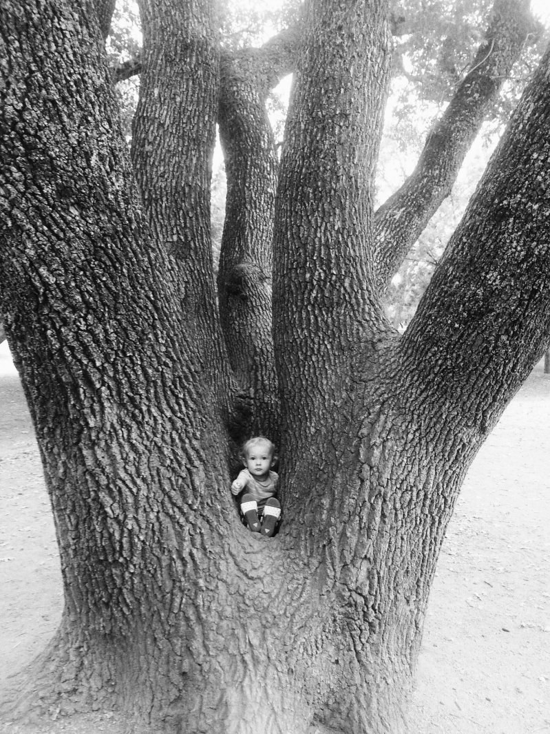 Малышка на дереве животные, кадр, люди, фото, фотоподборка