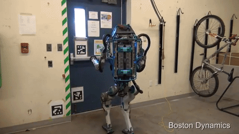 146175609819118053.gif
