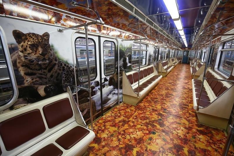 «Полосатый экспресс» в московской подземке. искусство, метро, москва, необычное метро