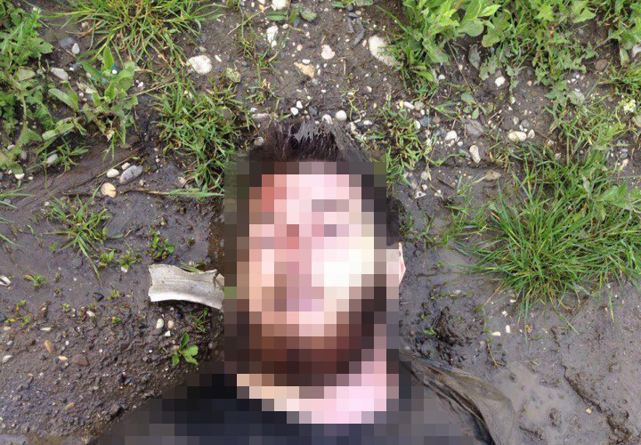 В Грозном прогремел взрыв, пострадали несколько полицейских В Грозном прогремел взрыв, пострадали несколько полицейских
