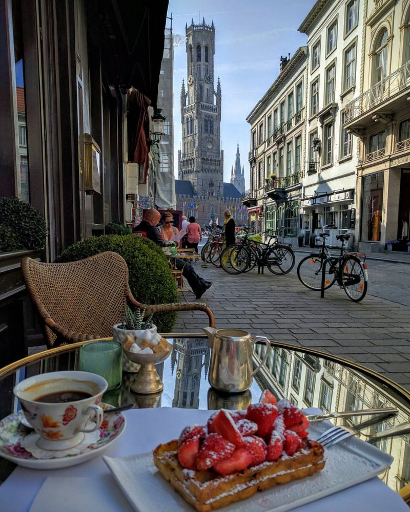 Завтрак в Бельгии  животные, кадр, люди, фото, фотоподборка