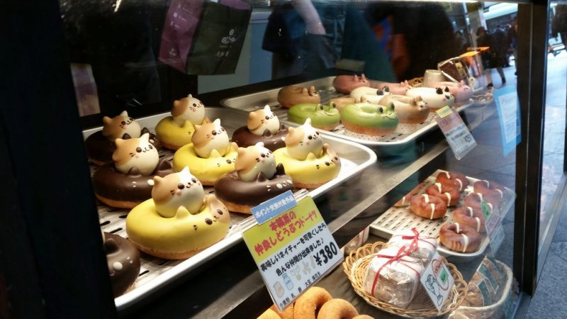 Японские сладости  животные, кадр, люди, фото, фотоподборка