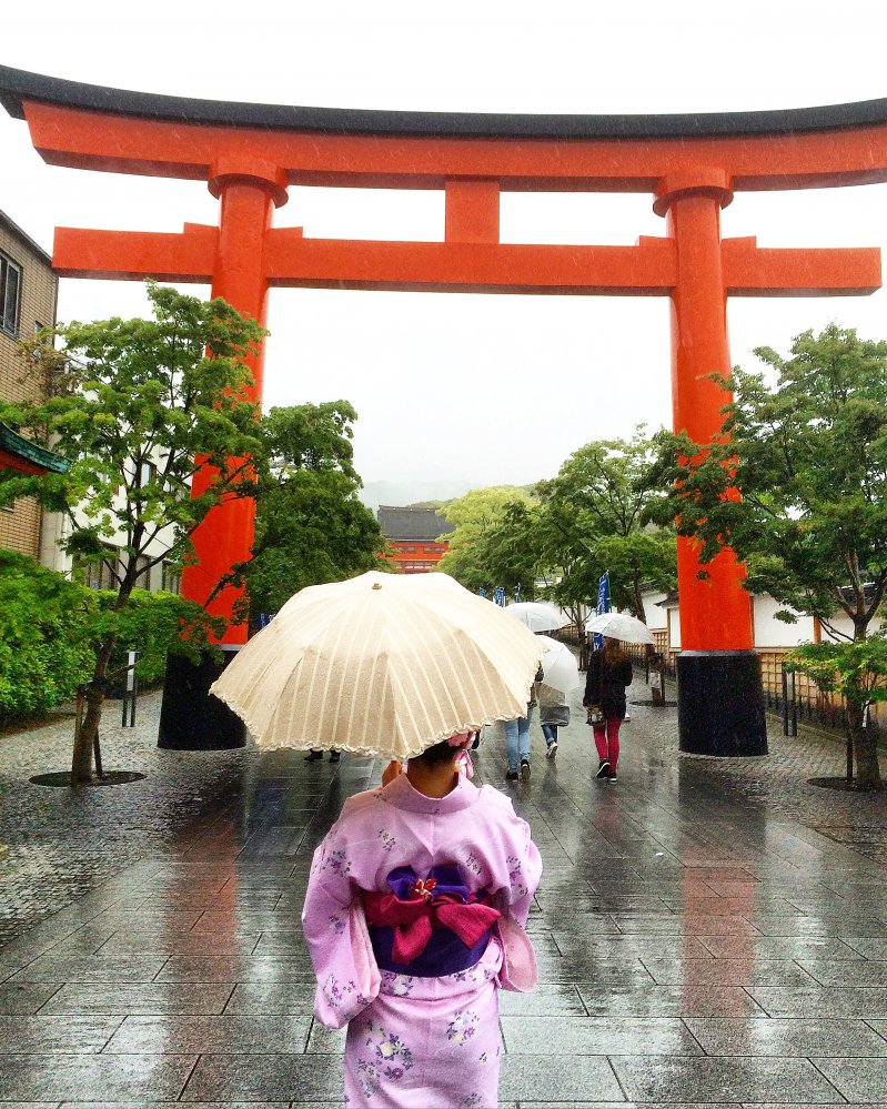 Дождливый день в Японии животные, кадр, люди, фото, фотоподборка