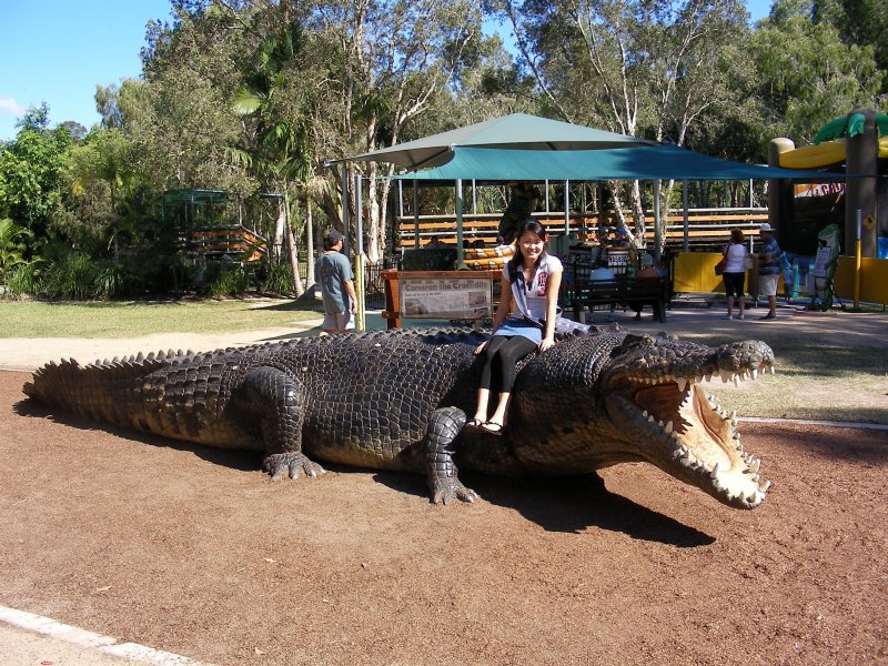 Реалистичная скульптура крокодила  животные, кадр, люди, фото, фотоподборка