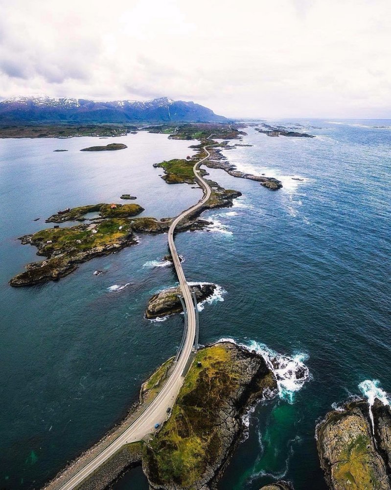 Дорога в Норвегии  животные, кадр, люди, фото, фотоподборка