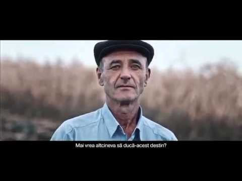 Классика не умирает Классика не умирает