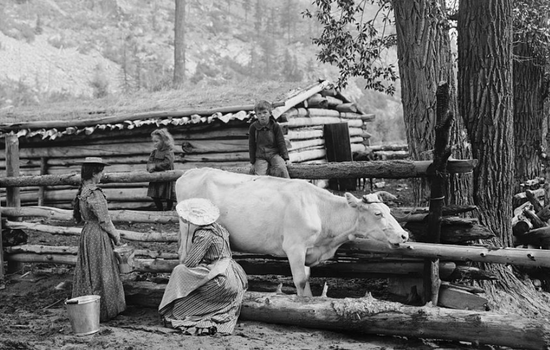 13. Американские фермерши (1900 год) история, производство