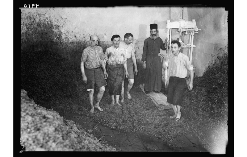 7. Знаменитый процесс производства вина (Иерусалим, 1934 год) история, производство