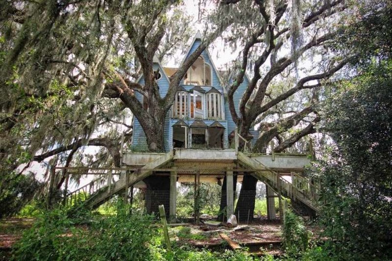 9. Дом на дереве в викторианском стиле, Флорида, США заброшенные места, крипи, прикол, ужас