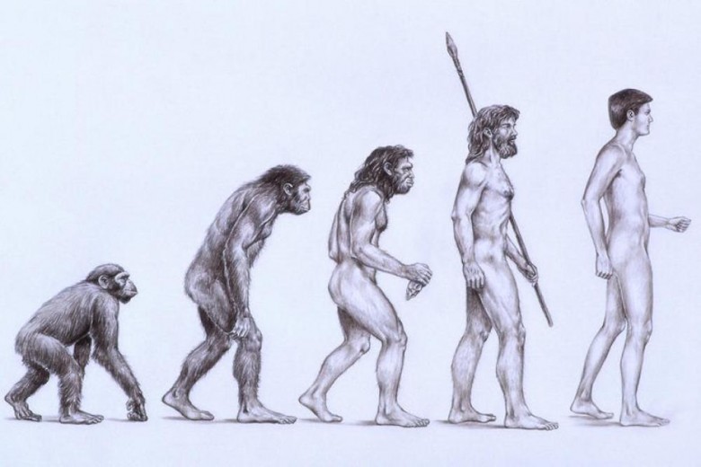 6. Вид Homo sapiens постоянно эволюционирует история, первобытные люди, факты