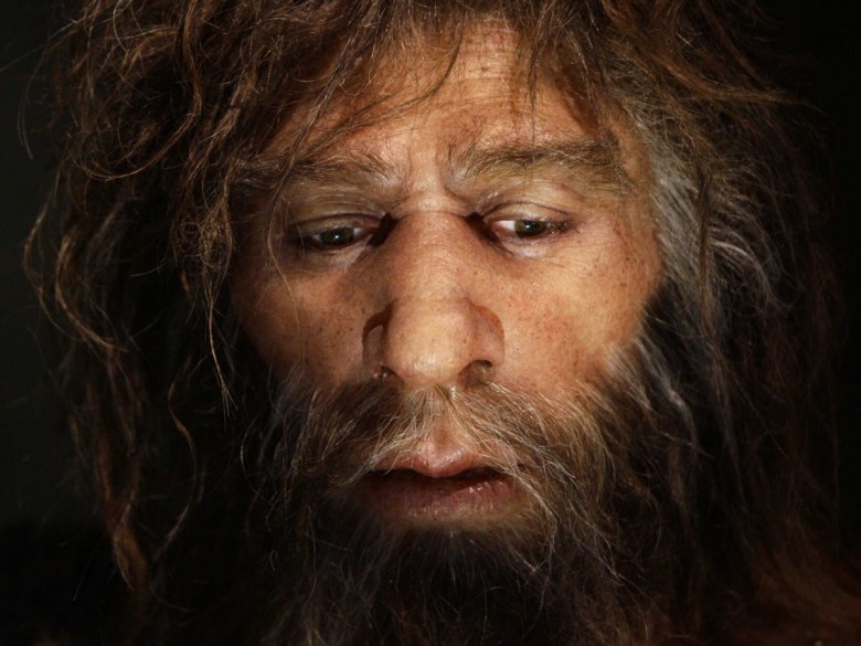 8. Возможно, в вас есть гены неандертальцев история, первобытные люди, факты