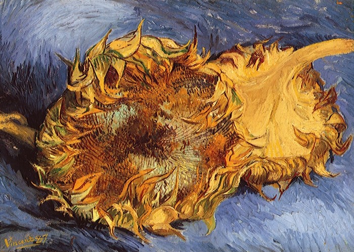 Подсолнухи Винсента Ван Гога ван гог, живопись. искусство, подсолнухи, факты