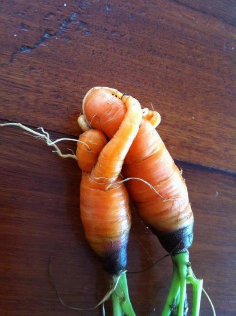 Морковные объятия. овощи, фрукты