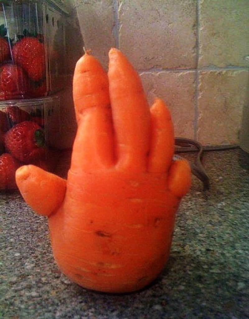 Дай пять морковке. овощи, фрукты