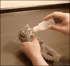 301aa1c581ca8bc99bd9929f58cd4975.gif