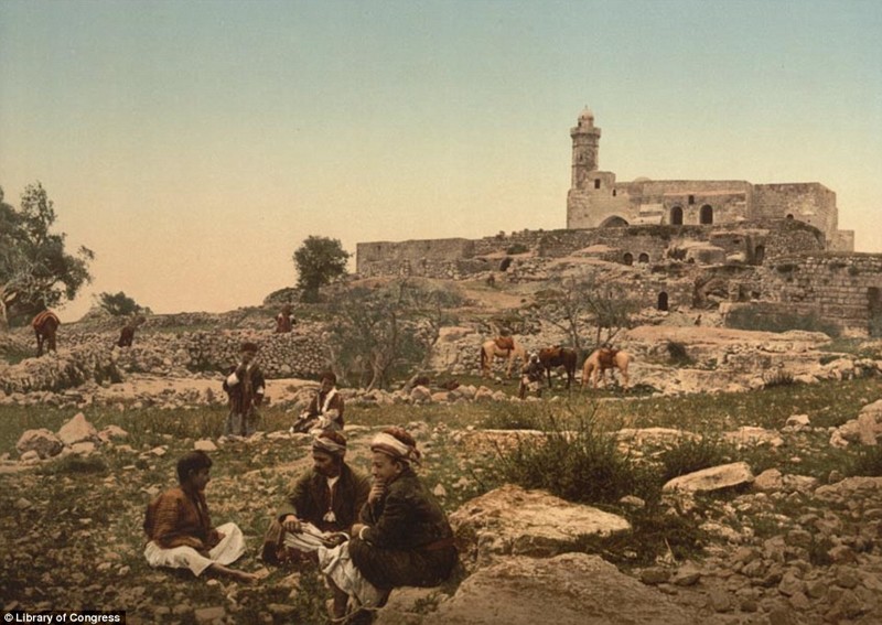 Иерусалимский базар, рыбная ловля в Галилейском море и бедуины: как выглядел Ближний Восток в 1890-х гг. Левант, ближний восток, история, фото
