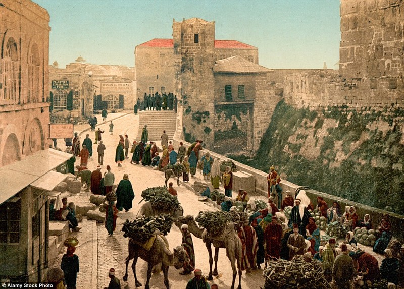 Иерусалимский базар, рыбная ловля в Галилейском море и бедуины: как выглядел Ближний Восток в 1890-х гг. Левант, ближний восток, история, фото