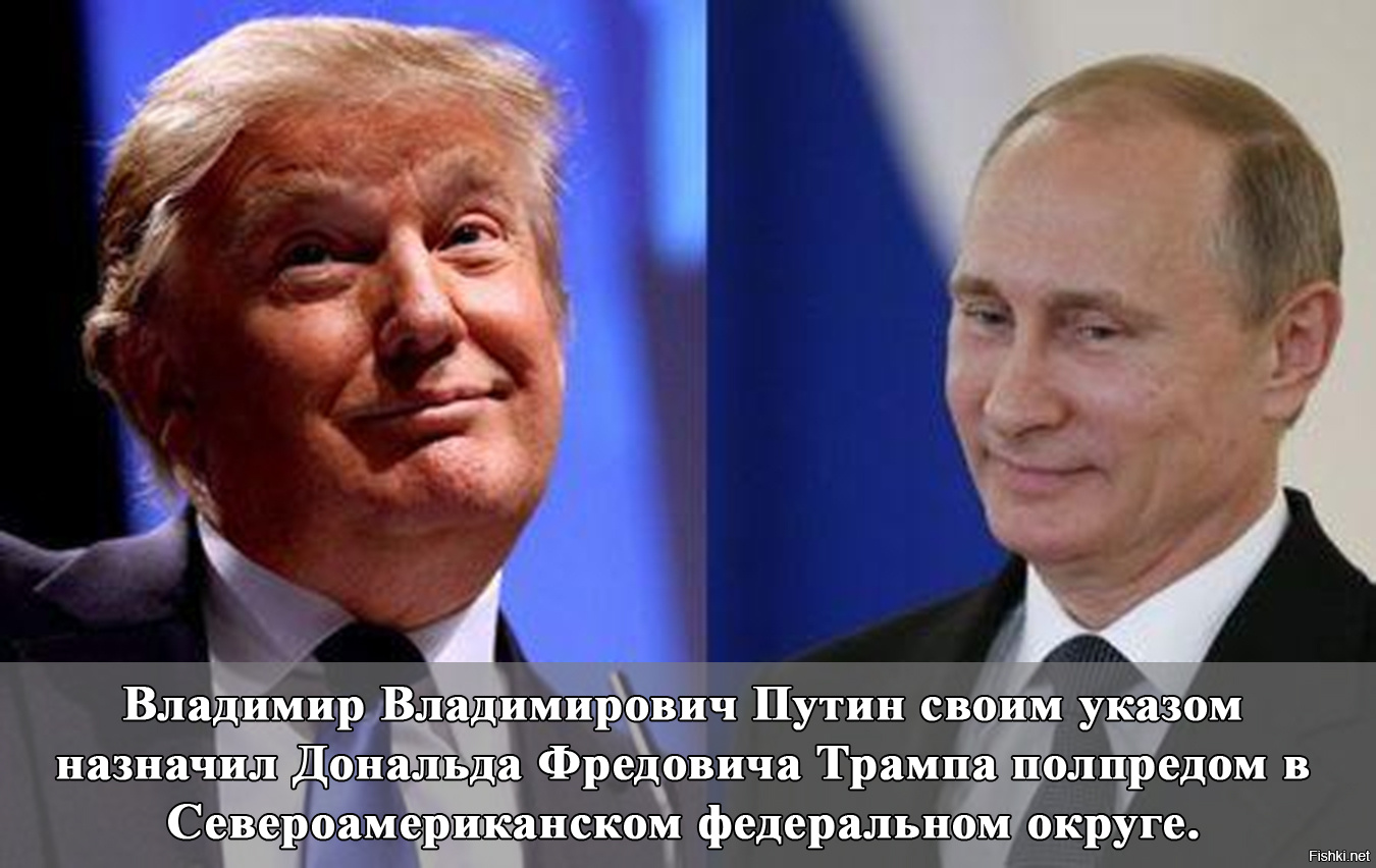Поздравления трампа от путина Поздравления трампа от путина
