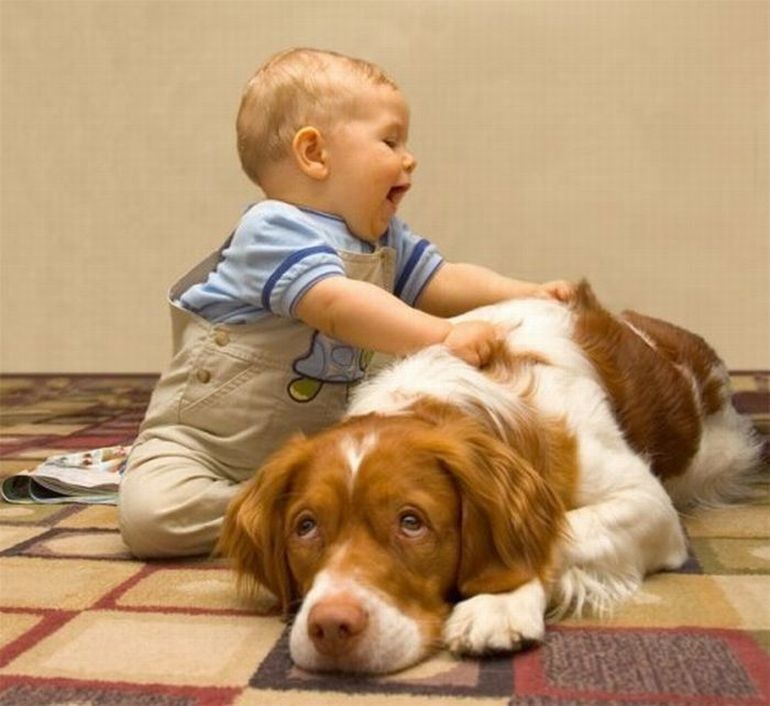 Небольшой массаж никогда не повредит, но как-то пёс ему не особенно рад дети, животные, прикол, юмор