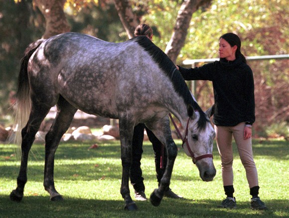 14 звезд кино, известных любовью к лошадям (15 фото)