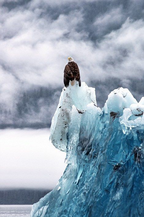 Как выглядят самые древние в мире айсберги айсберг, вода, красота, природа