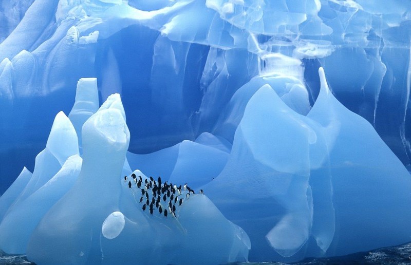 Как выглядят самые древние в мире айсберги айсберг, вода, красота, природа