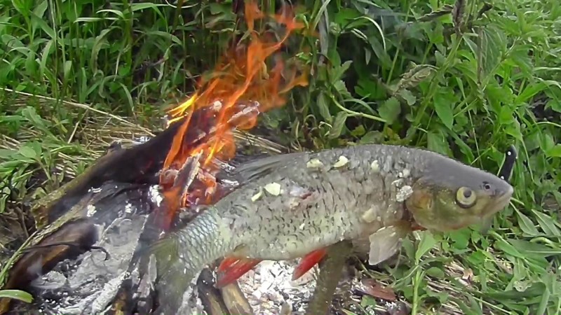 Голавль и окунь на дикой речушке Голавль и окунь на дикой речушке