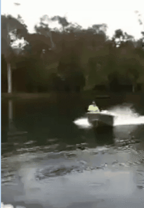 c73fd439f55ca7c608912f0ce94a0c05.gif
