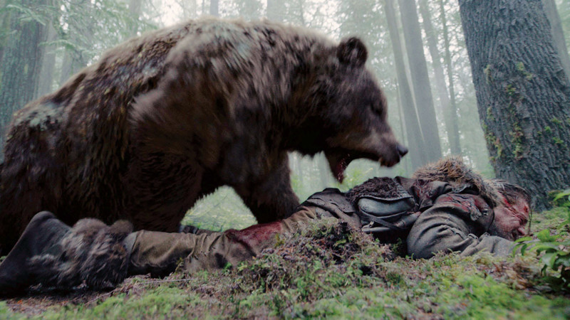 Миф: если на вас нападает медведь, притворитесь мертвым выживание, миф, совет
