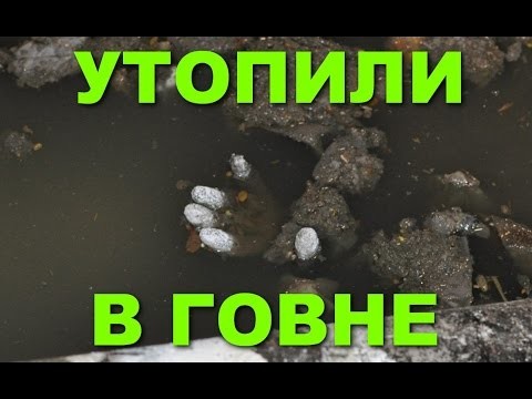 Капремонт - узаконенное ограбление Капремонт - узаконенное ограбление